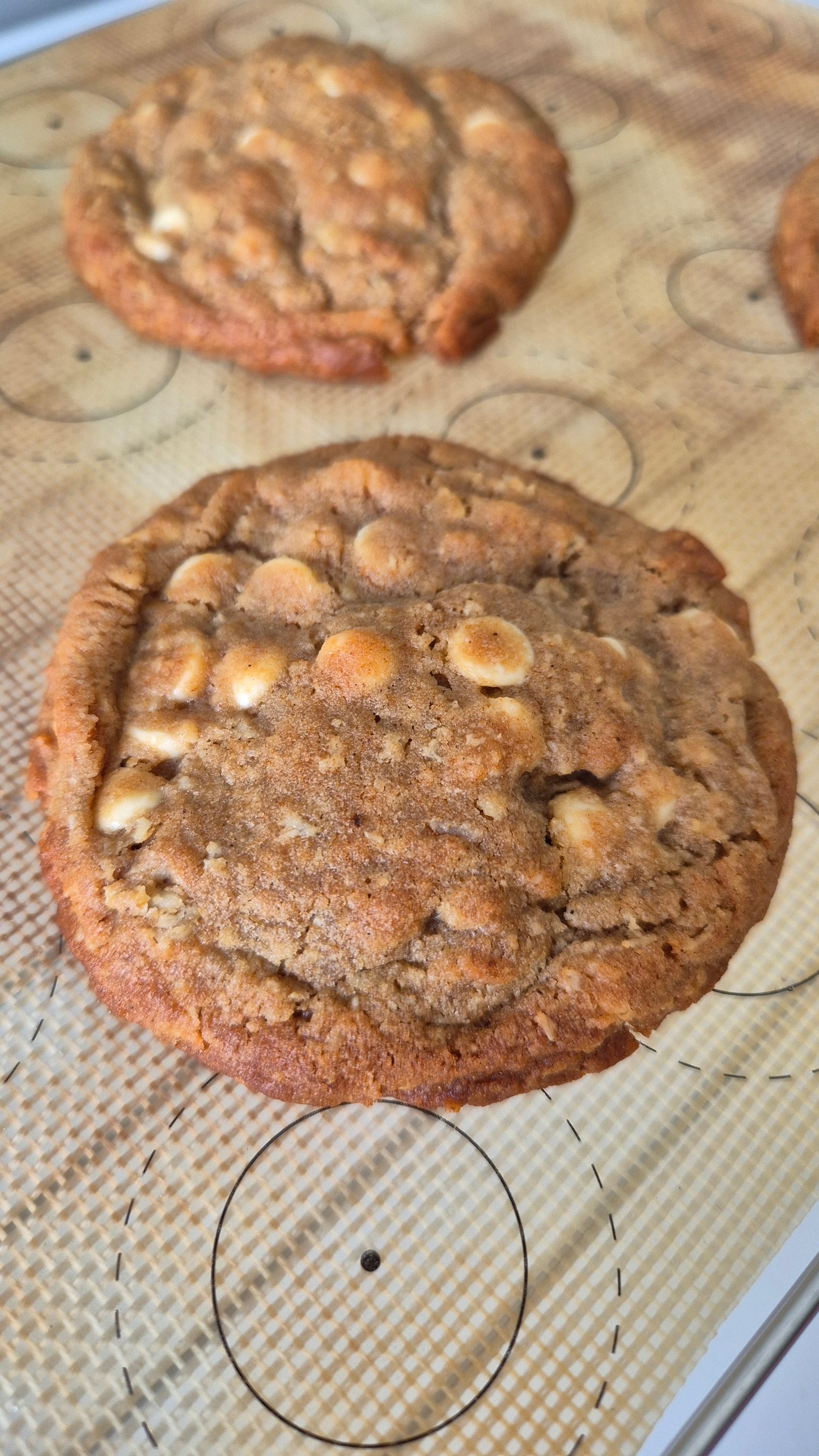 White chocolate chip filled cookie on a flat surface.